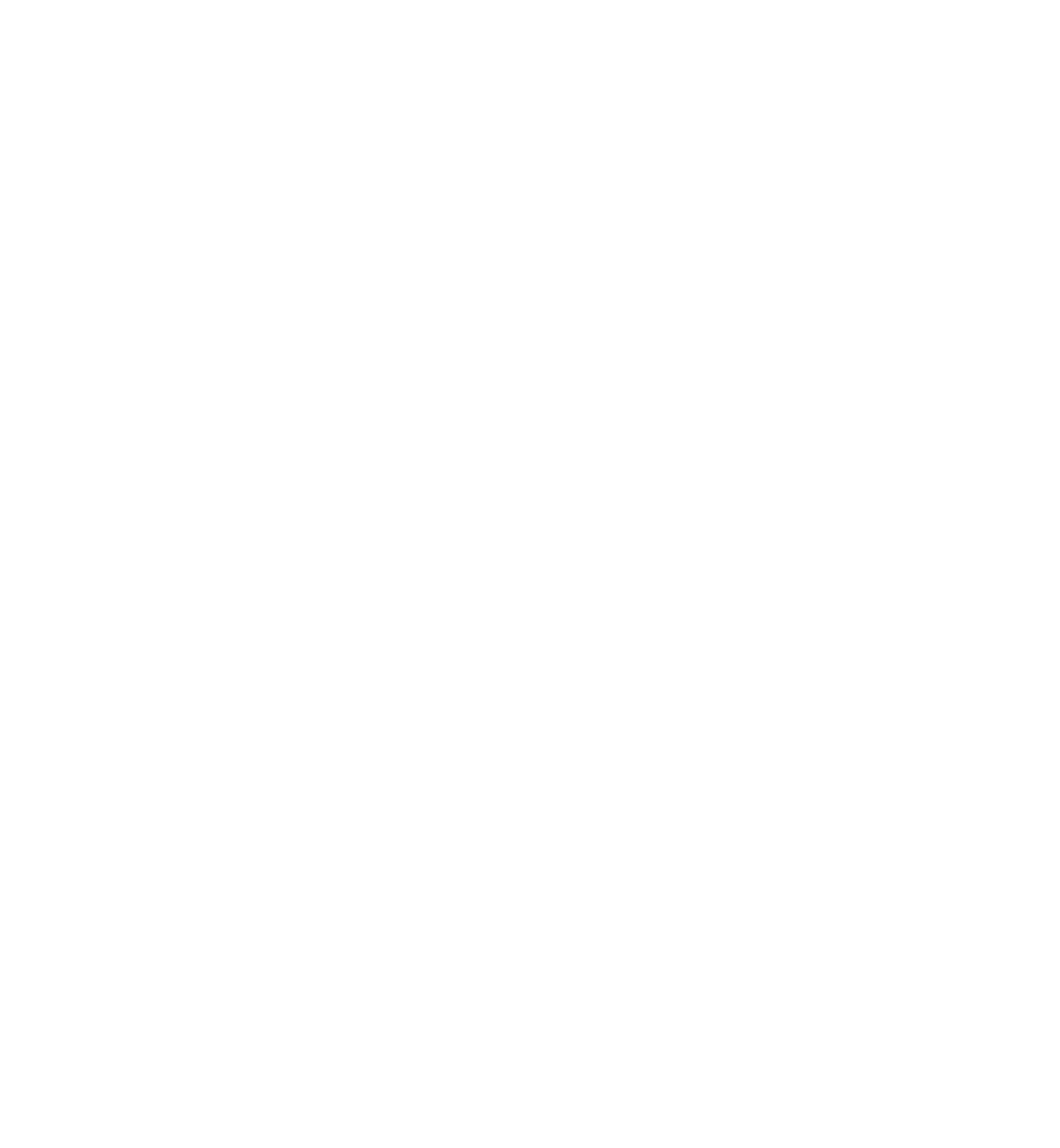 VISUM_LOGO_BLANCO